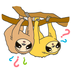 ナマケモノ家族