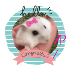 すず　ハムスターラブリースタンプ