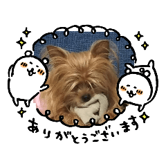 犬のてっちゃんのスタンプ