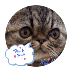 スタンプだもの