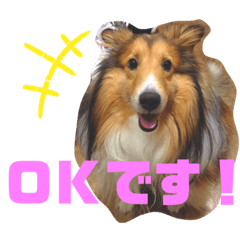 ショーンの感情2