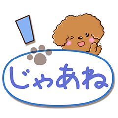 毎日使える☆トイプードル