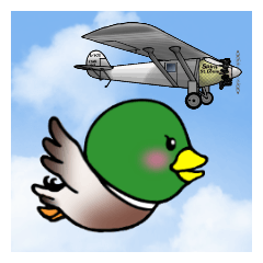 マガモのカモ太郎