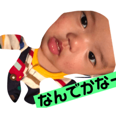 かいの成長アルバム