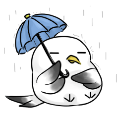 Seagull doesn't want to fly