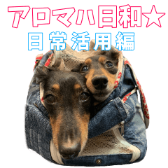 アロマハ日和★日常活用編