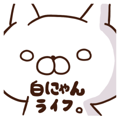 白にゃんライフ
