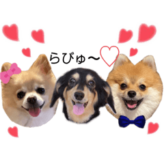 くうちゃんぽんちゃん