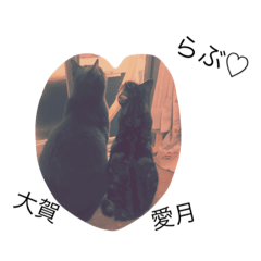 たいが＆あづき