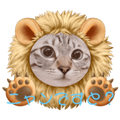 ローラちゃんとロイくん⑦