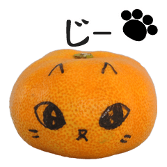 みかネコのひと言