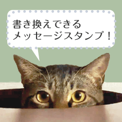 キジトラ猫・モンのメッセージスタンプ