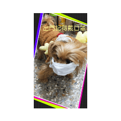 dream_20210506195706