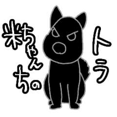 米ちゃん家の愛犬　とら