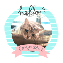 ちゃちゃのまったりタイム