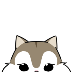 Hush Hush リスとコヨーテ⑥