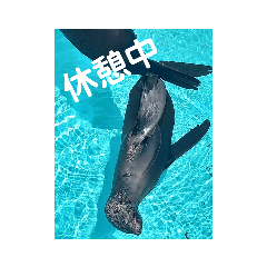ぎょ！ぎょ！魚！