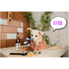 Daisy_20210629015327