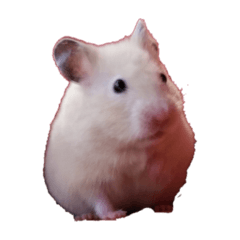 ミニポッポ＆ポッポ