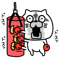 ねこたまっしぐら不機嫌だよ