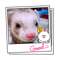 くぅーちゃん大好き②