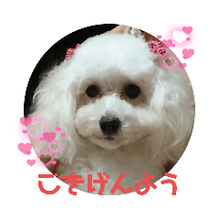 ひなたちゃん第2弾