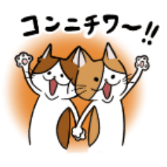 茶白ねこ〜タロジロの日常〜