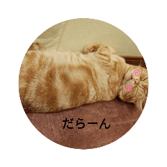 ナッツは可愛い?!