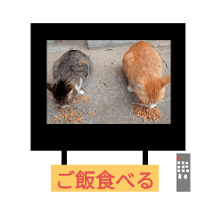 (=^・^=(=^・^=my cat