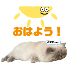 ほたて　日常会話編