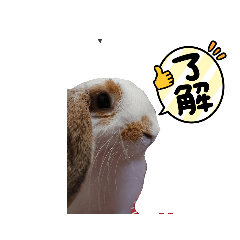 うさきのlilyもふもふスタンプ