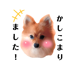 かわいい　きなこっちスタンプ