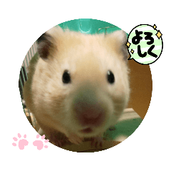 まいにち楽しいきんくま君