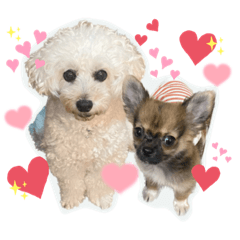 süzüki family ^•ᴥ•^