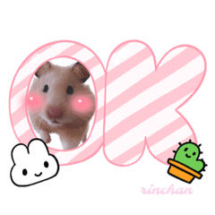 きんくまのりんちゃんスタンプ