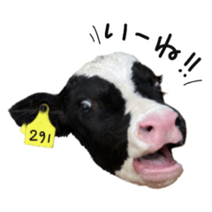 うっしっしっ♡牛うしウシと仲間たち