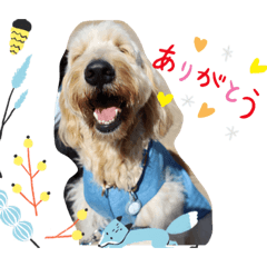 わんこ好きのわんこ好きのためのスタンプ