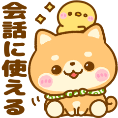 会話に使える♡豆柴日和