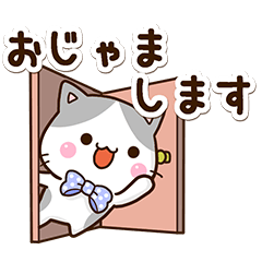 おちゃめなハチワレねこ【敬語】