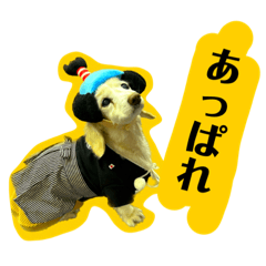 コスプレちろとテニス