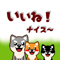 毎日使える可愛い吉祥寺柴犬ハチスタンプ4