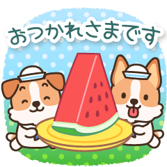 飛び出す！陽気なジャックわんこ5(夏再び)