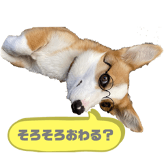 コギ丸のいやしスタンプ