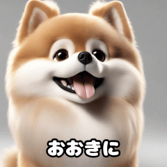 関西弁なポメラニアン