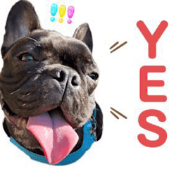 文之助日常会話スタンプ