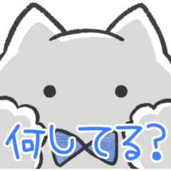 青推しねこ(報告)