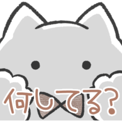 茶色推しねこ(報告)