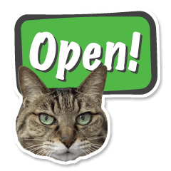 古書店の看板猫ちゃん 12