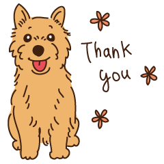 陽気なノーリッチテリア