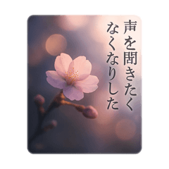 やさしい言葉と花の便り